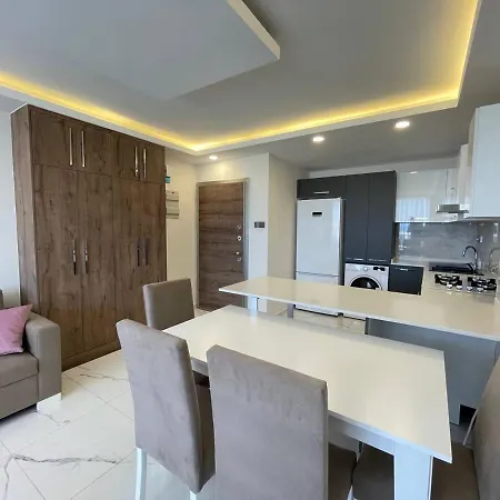 Luxury And Apartment *