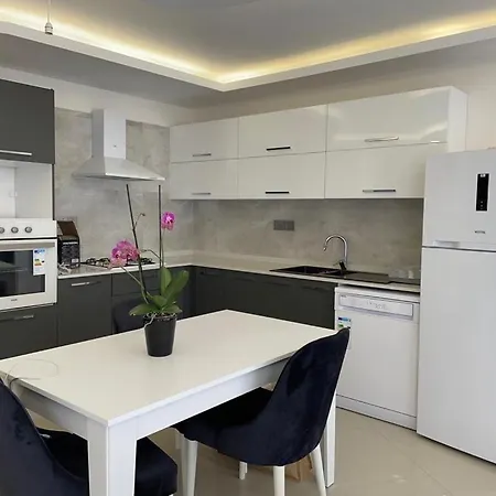Luxury And Apartment